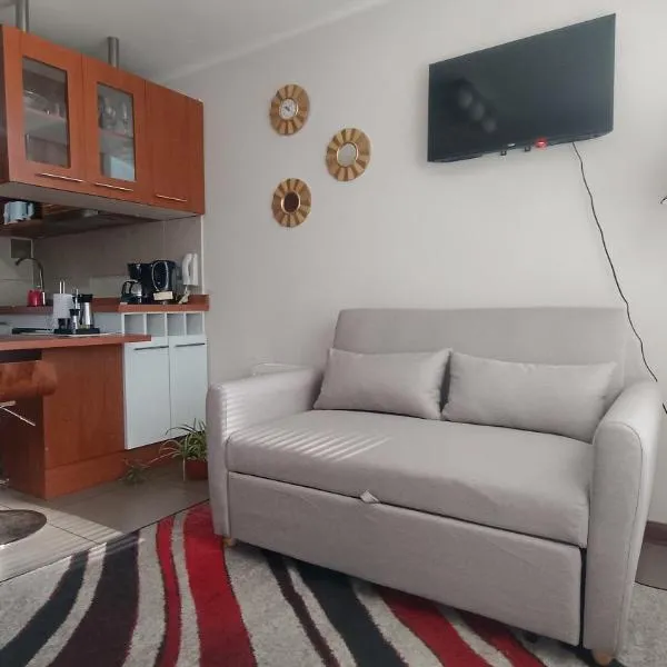 DSalas 445 con estacionamiento Concepcion, ξενοδοχείο σε Concepción