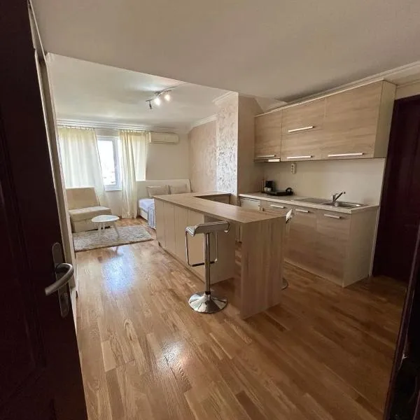 Apartment Marina, hotel in Arandjelovac