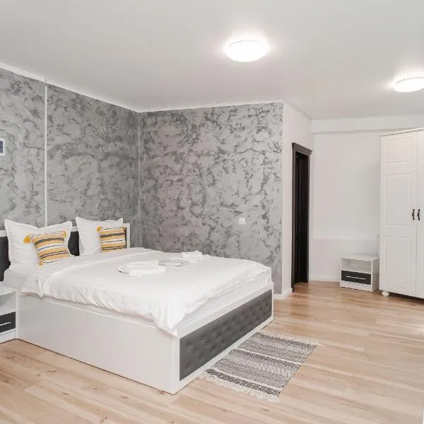 Grey Boutique Hotel Palas，雅西的飯店