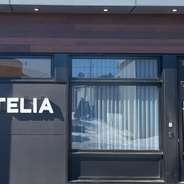 Hotelia, hotel v destinaci Saint-Ambroise