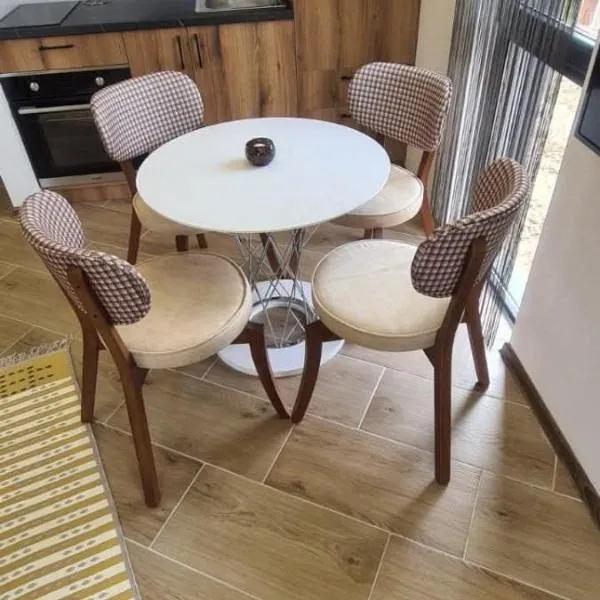 Studio Andrea, hotel v destinaci Divčibare