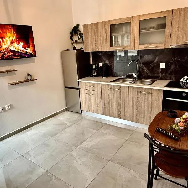 Το ΦΑΡΑΓΓΙ ΤΟΥ ΠΑΡΝΑΣΣΟΥ 4，位于Tithoréa的酒店