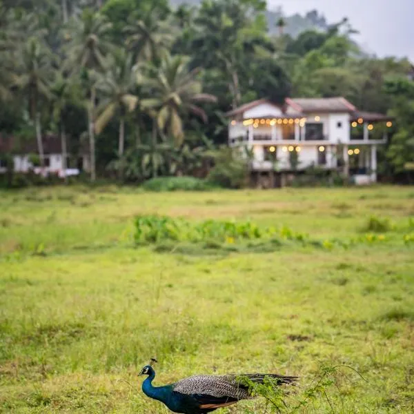Wildlife Kingdom - Deniyaya Sinharaja, hotel in Deniyaya