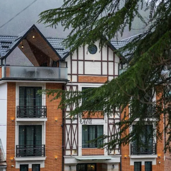 1 Hotel Borjomi, ξενοδοχείο σε Borjomi