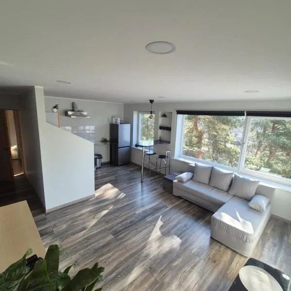 Friendly Apartment, hotel in Valmiera