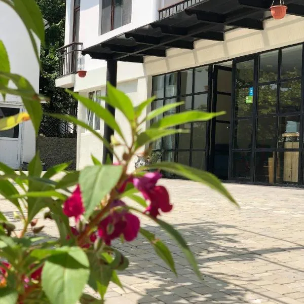 Smiths house, hotel en Surami