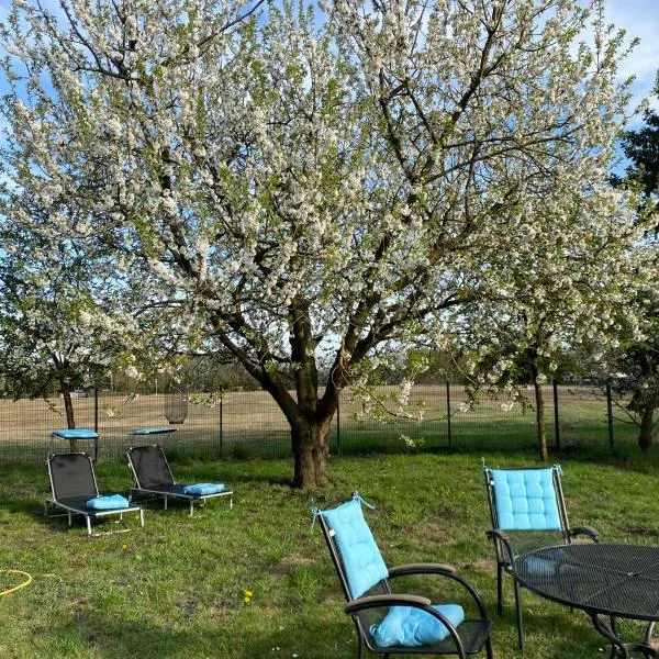 Friedas Glück, hotel in Dannenberg