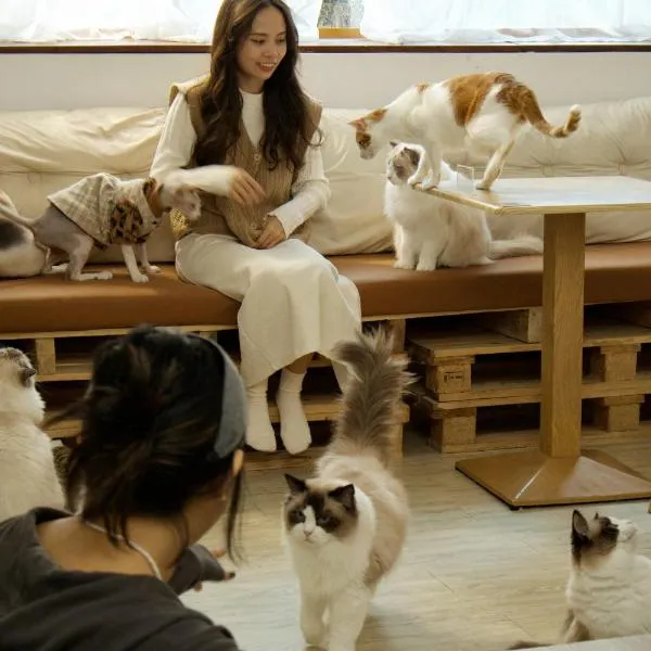 癒室Healing space貓咪咖啡廳寵物友善民宿-台東縣民宿2094號, hotel v destinaci Tchaj-tung