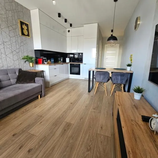 Apartament Ventus Business and Living 46, Hotel in Kielce