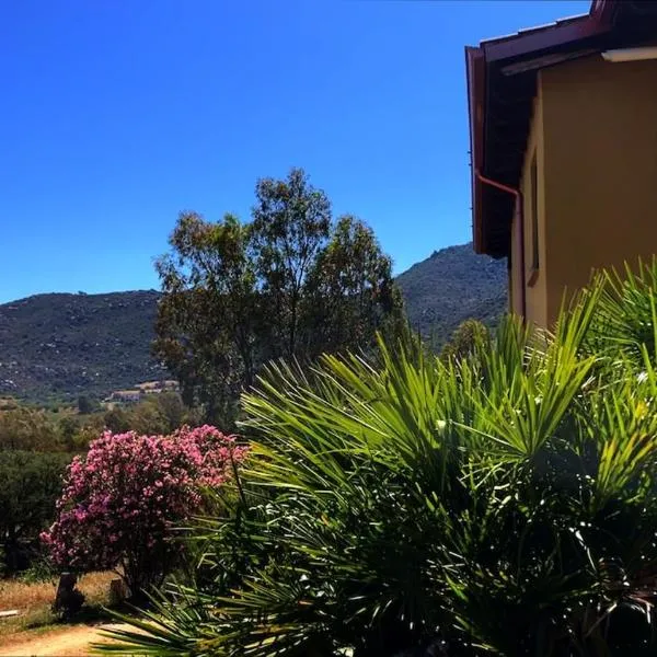Casa Monte Liuru, hotel en San Priamo