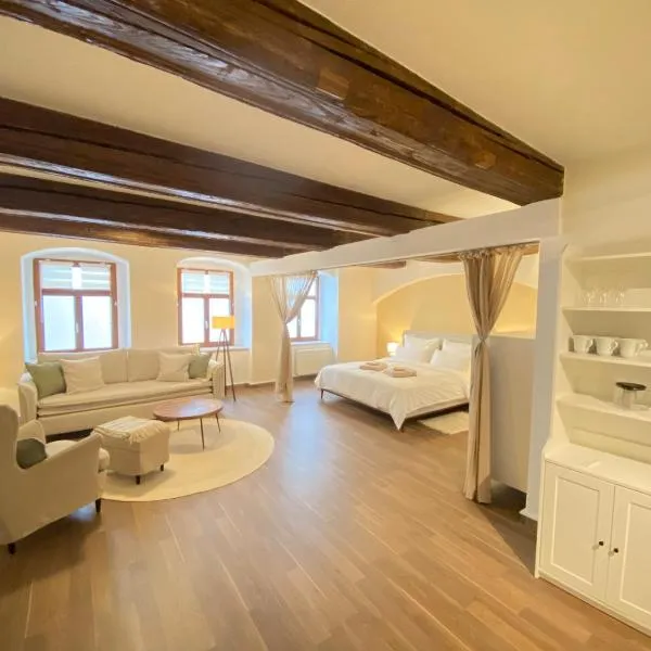 Großzügiges 1 Zimmer-Apartment mit Badewanne, hotell sihtkohas Pirna