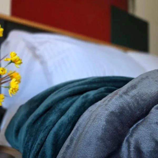 The Ansi9，位于利文斯顿的酒店