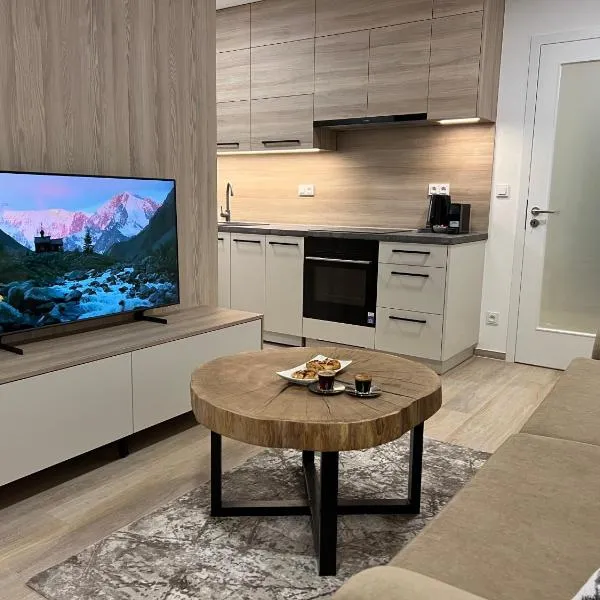 SIA Apartment, hotel in Dolní Morava