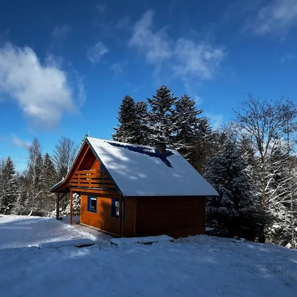 Modrá chata pod horou, hotel v destinaci Mračkov