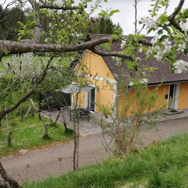 Ferienhaus Muster Dominkusch II、ロイトシャッハのホテル