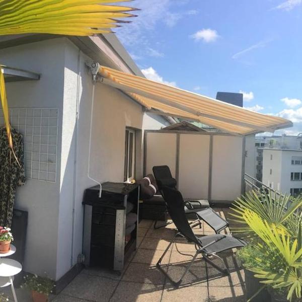 Unique little house on a roof top with a huge terrace close to exhibition square, Basilea