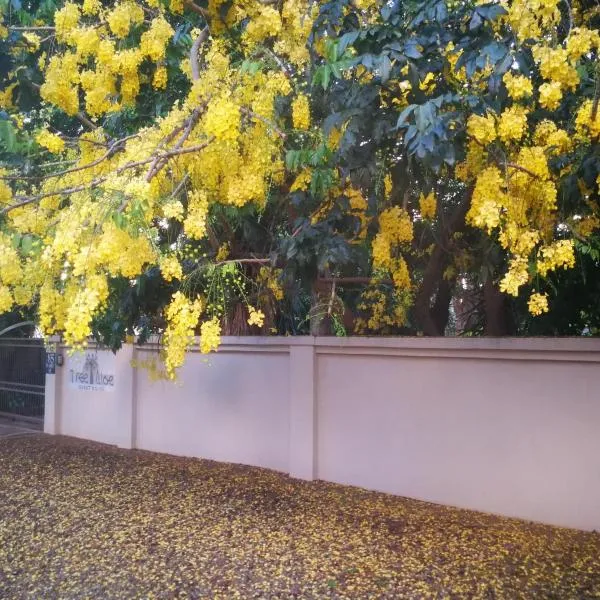 Tree Aloe Guest House, hotel i Mokopane