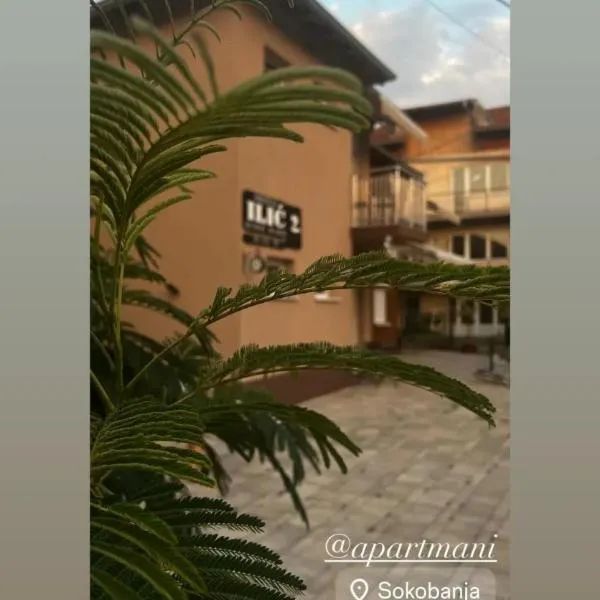 Apartmani Ilic 2, hotel in Soko Banja