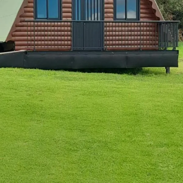 Grand chalet idéal en famille，位于勒唐蓬的酒店