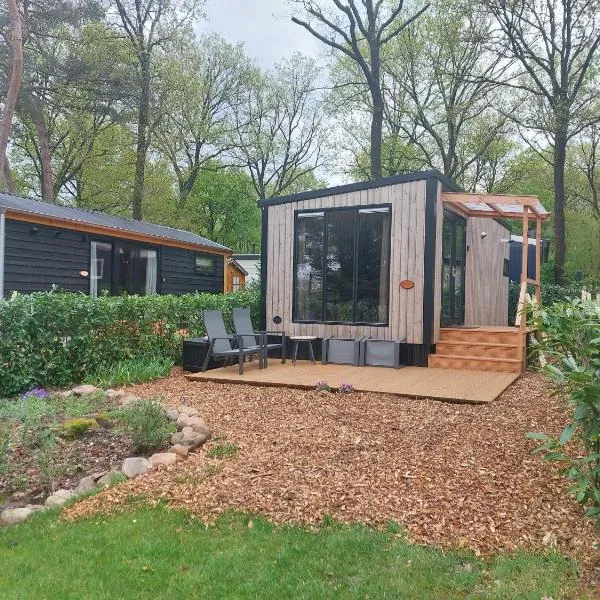 Egelantier, hotel in Zuidwolde