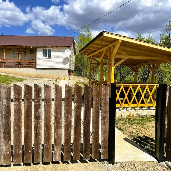 Cabana IBU, Hotel in Bumbueşti