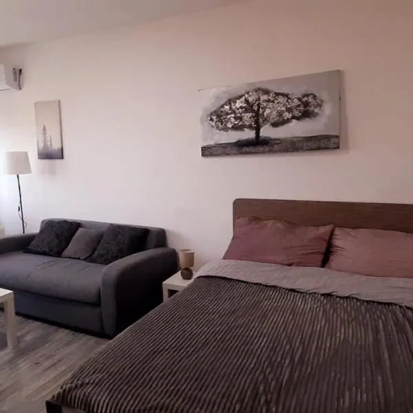 Apartman Dostojevski, hotel in Čukarica