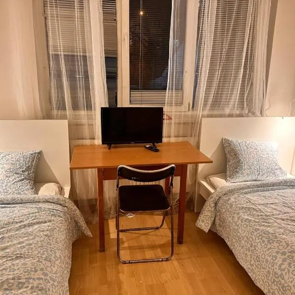 Apartmans and ROOMS with PARKING Turgenevova - Olomoucka, hotel v destinaci Brno