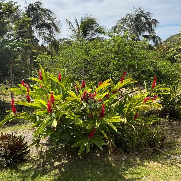 Au Gré des Alizés - Kaz Soley Péyi、Capesterre-de-Marie-Galanteのホテル