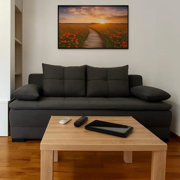 Rose casa apartments Vrnjacka Banja,位于Vrnjci的酒店