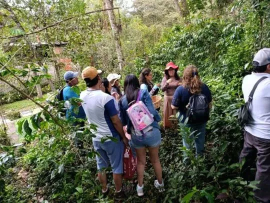 la casa de mamá, Hotel in Huayopata