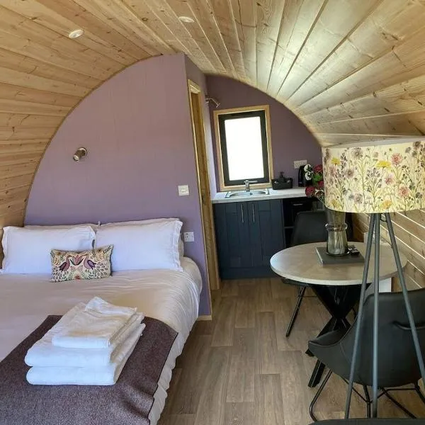 Dingle Wild - Luxury Pod, hotel in Dingle