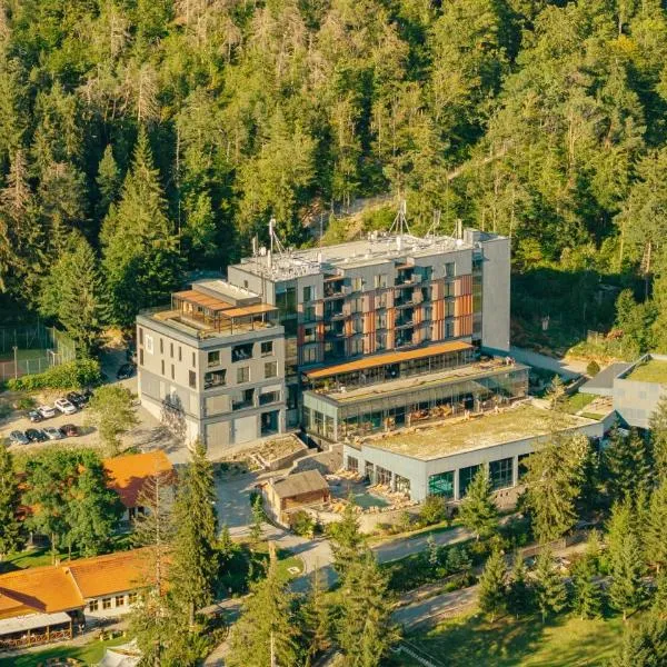 Peakture Hotel Balvanyos, hotel in Balvanyos