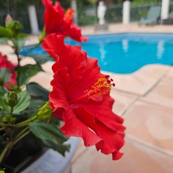 Les jardins du Patriarche Hôtel，位于阿格德的酒店