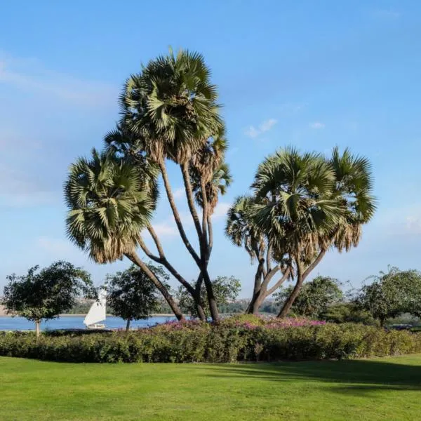 MGM Wellness Retreat，位于阿斯旺的酒店