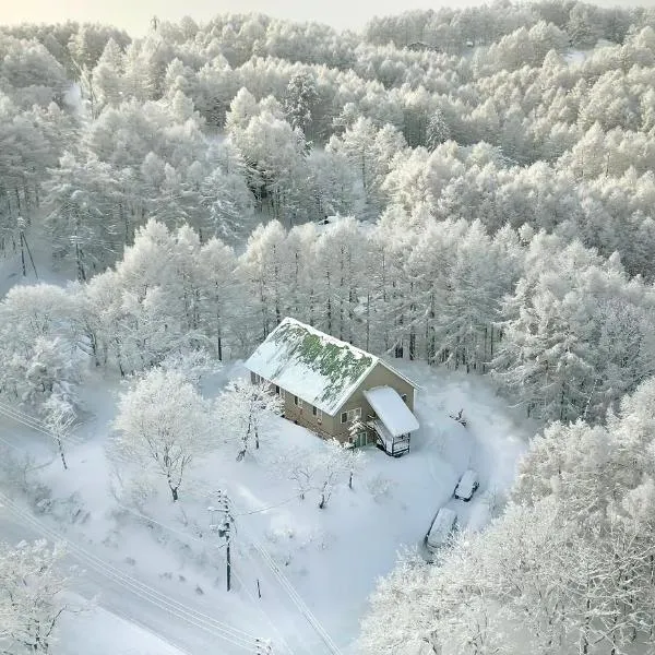 Echoland Madarao エコーランド斑尾 All en-suite rooms & a free 3-minute shuttle to the ski resort, hotel in Madarao Kogen