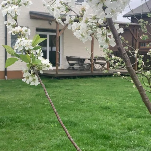 Pilaites svetingi namai, hotel in Vilnius