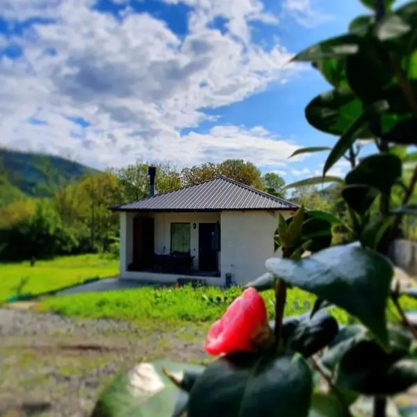 Guest house "Soulmate"，位于安布罗劳里的酒店
