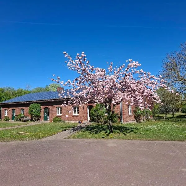 Farm-Chalets Apartment Park, hôtel à Renzow