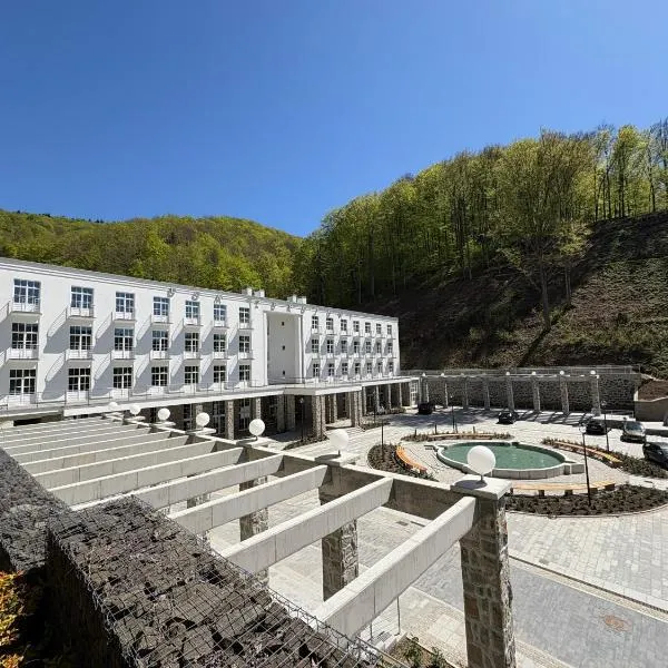 Dom Zdrojowy CECHINI, hotel in Żegiestów