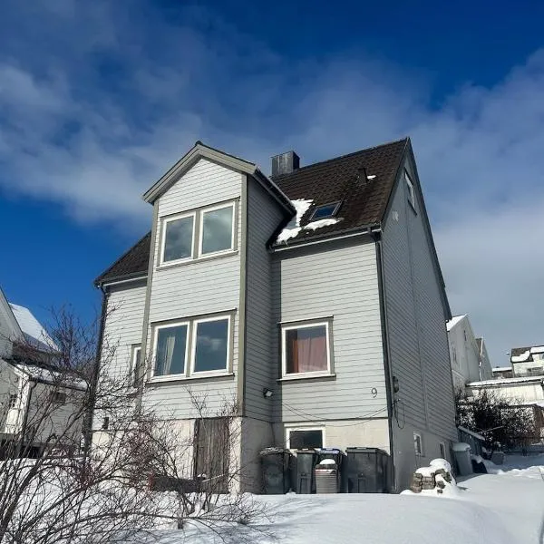 Apartment with short distance to the ski Adventure, hotel in Narvik