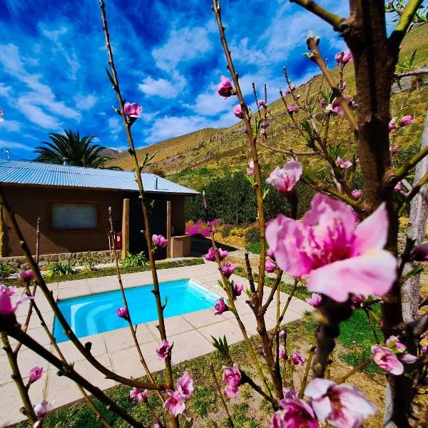 Piuquenes Lodge - Cabañas, Viñedos y estrellas en Horcón, Valle de Elqui，位于Horcon的酒店