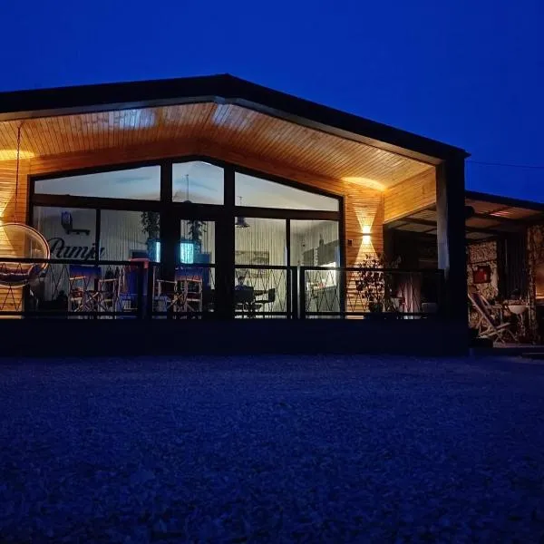 PAMJA Guest House، فندق في Bărăşti