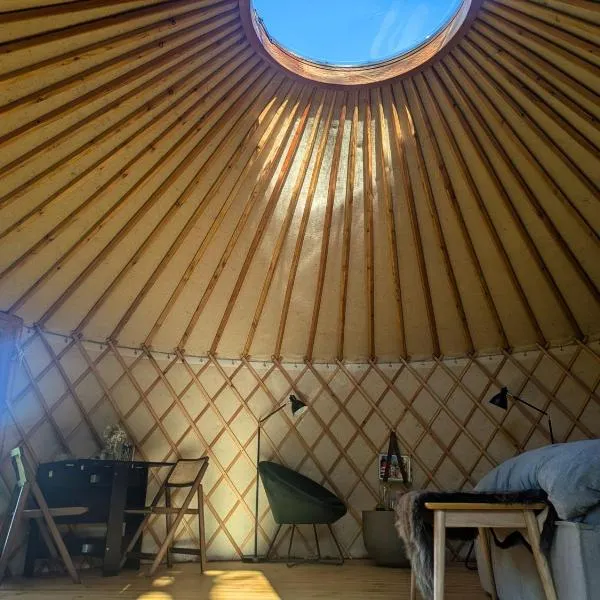 Jurte mit Kaminofen, Sauna & Sternenhimmel- Hasseldorf 10，位于Lindenberg的酒店