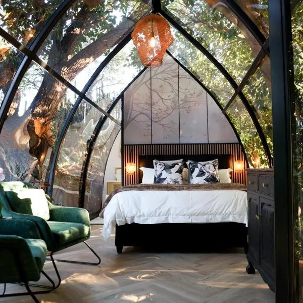 De Nest - Clear Glass Tree Cabin, ξενοδοχείο σε Montagu