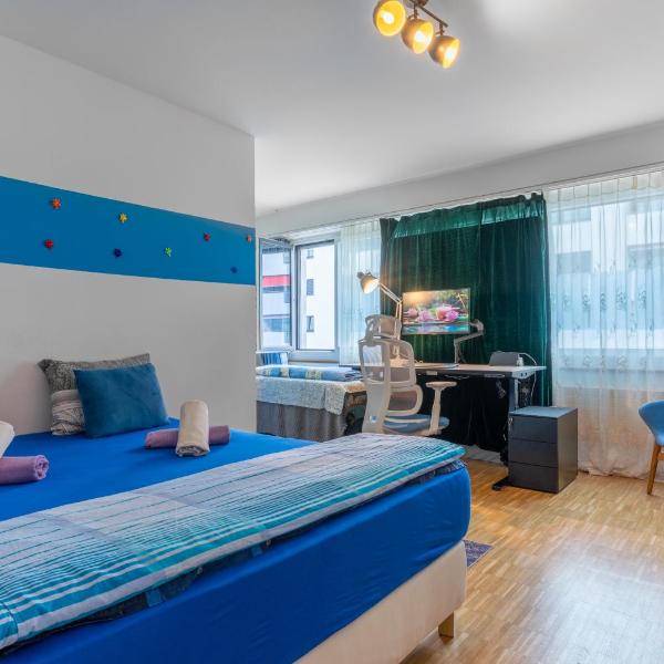Bright Flat with Workspace near Downton, Basilea