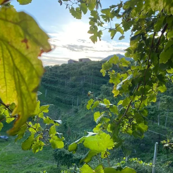 Profumo di Collina, Hotel in Col San Martino