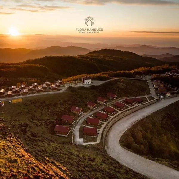 Flora Handüzü Resort & Wellness Bungalow Hotel, hotel en Rize