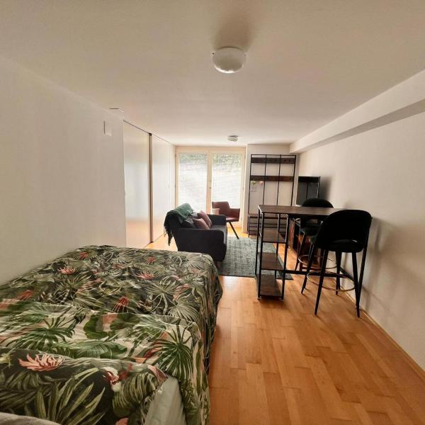 Studio 57 - two bus stops or 15 minutes walking distance to ESC event, Bazylea