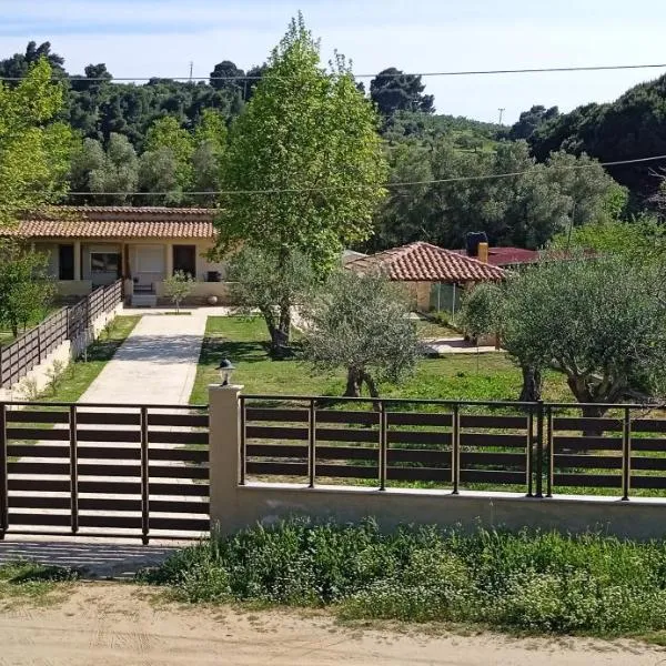 Fish eye，尼基季的飯店