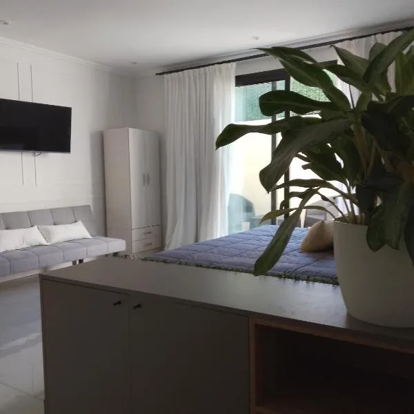 Departamento monoambiente "Pellegrini' en el centro、グアレグアイチュのホテル